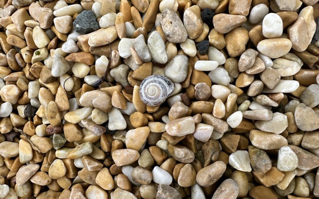 Hinauf über den Nebel – weshalb wir das Jammern hinter uns lassen müssen