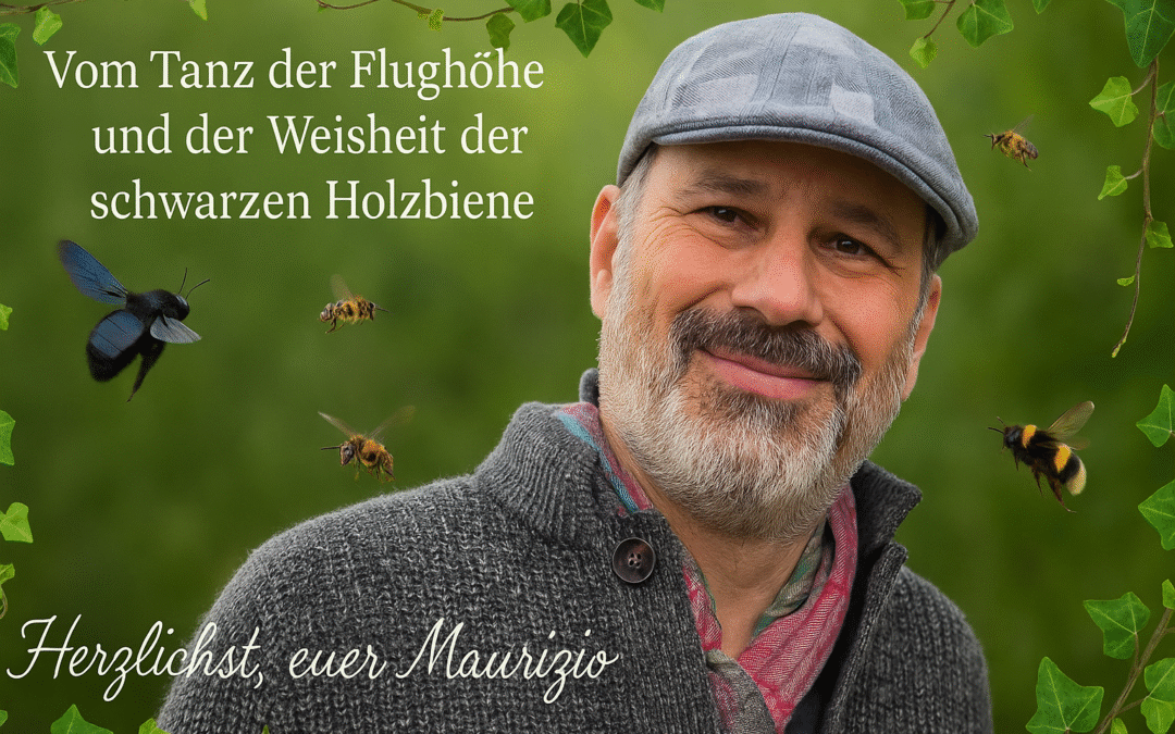 Vom Tanz der Flughöhe und der Weisheit der schwarzen Holzbiene