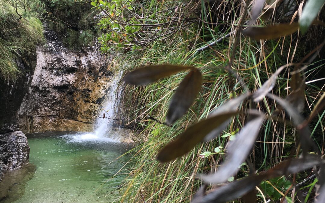 Ruhe, die Kraft, die wir fürchten und doch so dringend brauchen