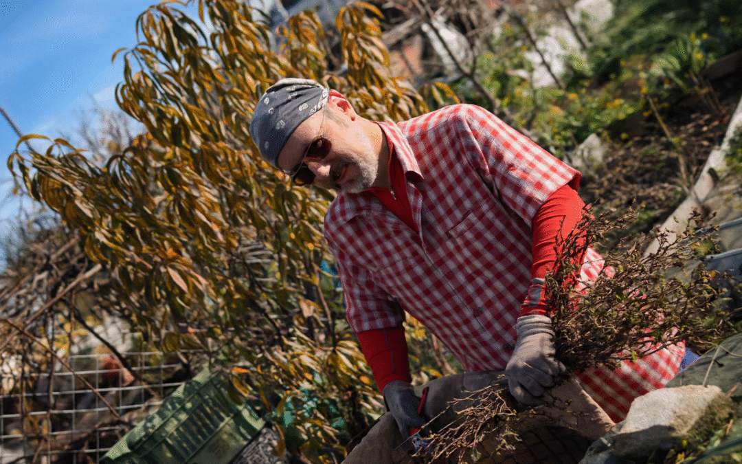 EIGENTLICH weiss ich, aber …..